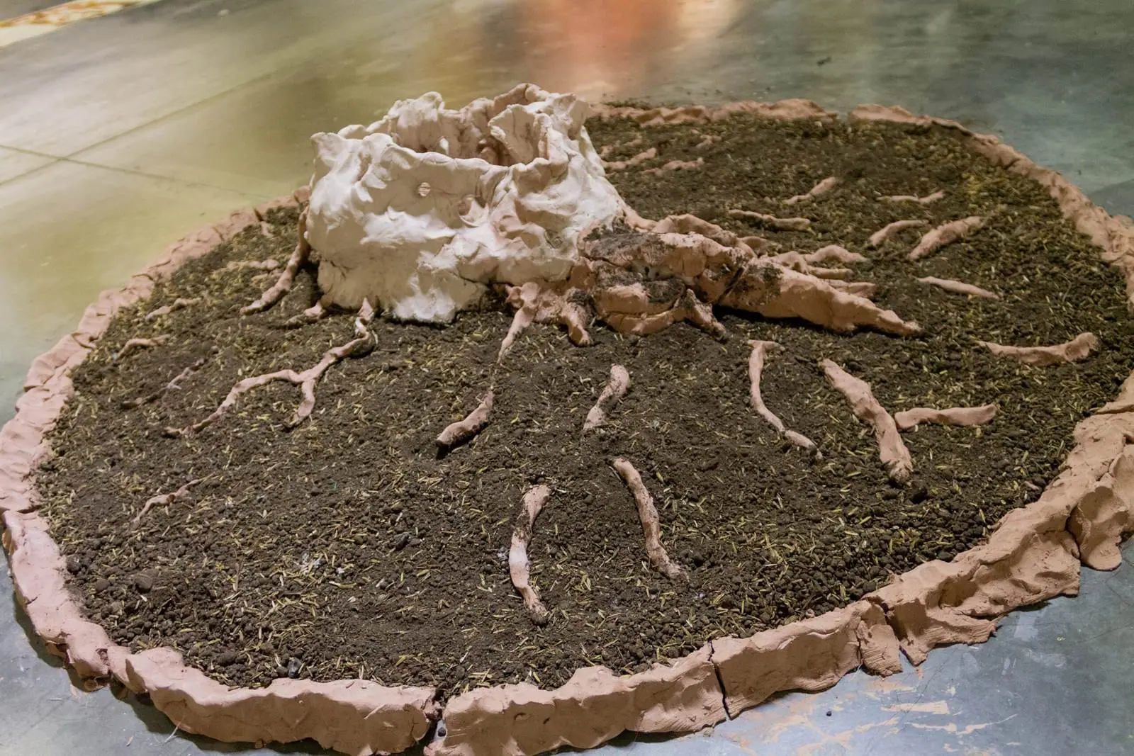 Cerchio di terra nera sul pavimento di cemento, circondato da un anello di fango screpolato; al centro, una forma bianca di argilla simile a un ceppo cavo, e radici di fango che si allungano verso il bordo.