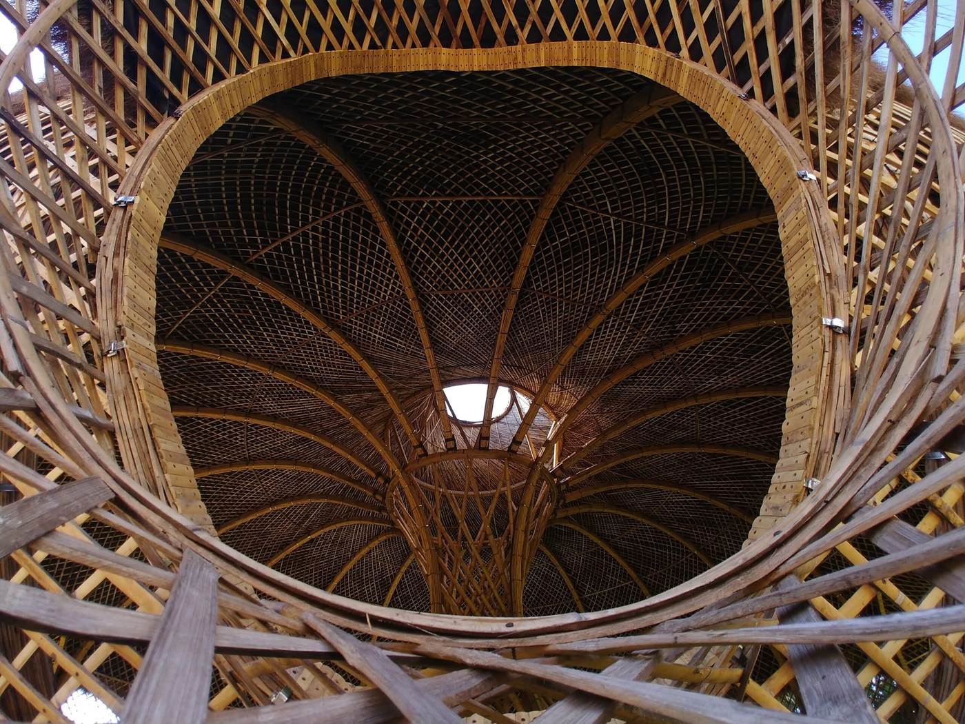 Interior de una estructura tejida en guadua vista desde abajo: arcos curvos y una malla de esterilla que se cierra hacia la cúspide.