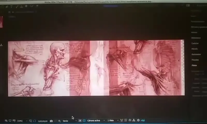 Composizione di video mapping in After Effects con incisioni anatomiche di Leonardo da Vinci